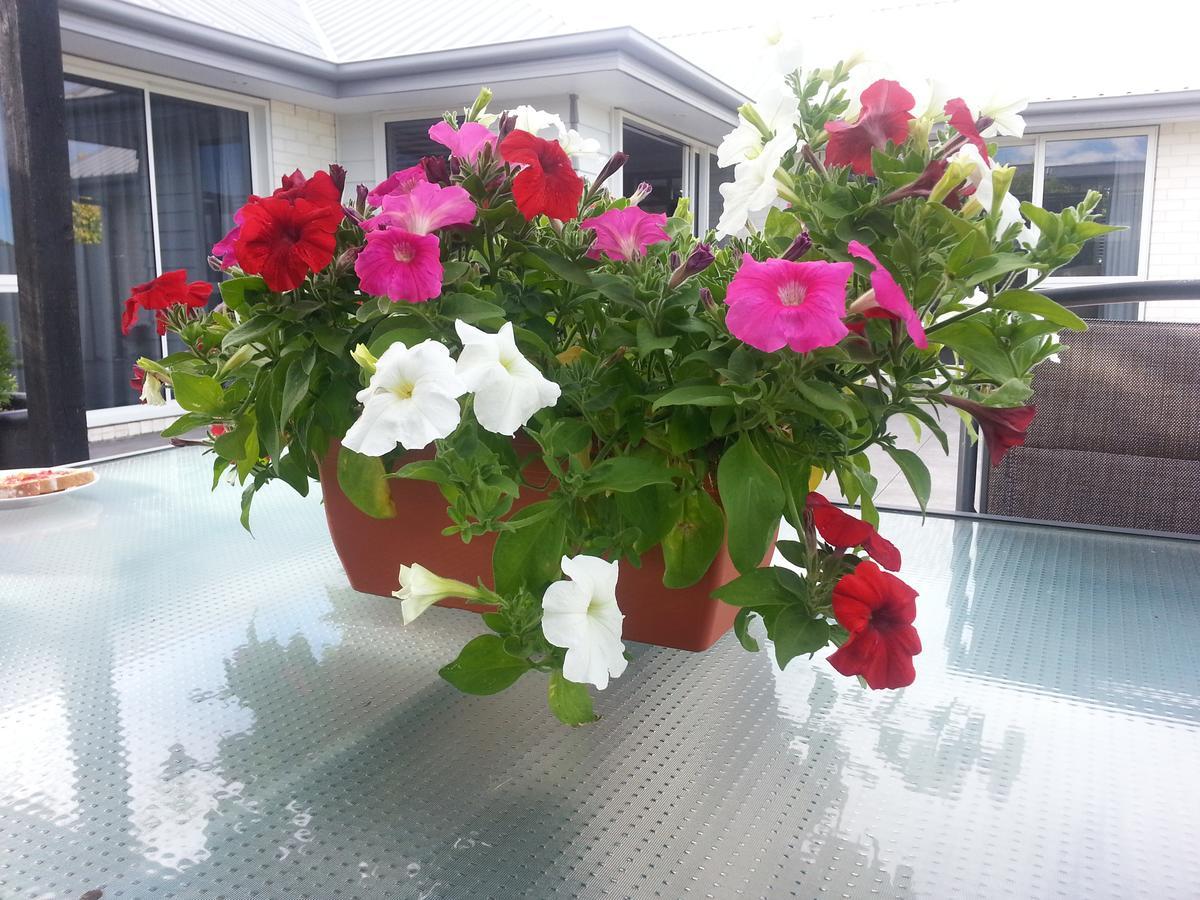 Kaiapoi Courtenay B & B المظهر الخارجي الصورة